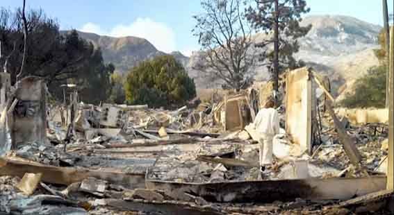 Evacuee searching for her home amid the destruction caused by the Los Angeles wildfires, facing uncertainty and loss.