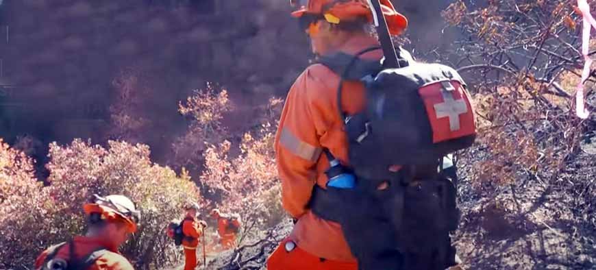 Firefighters battling wildfires in Los Angeles during the 2025 fire crisis, working to contain the flames and protect communities.