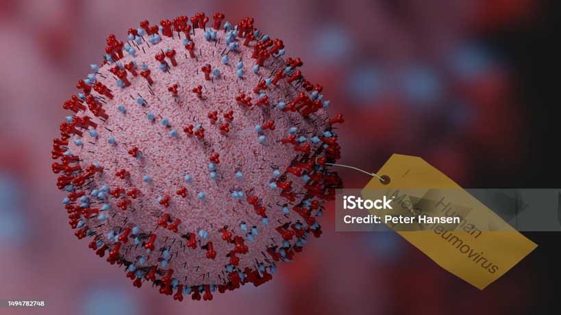 Abstract 3D render of Human Metapneumovirus (HMPV) structure, featuring a labeled Fusion protein, highlighting key viral components and molecular details.